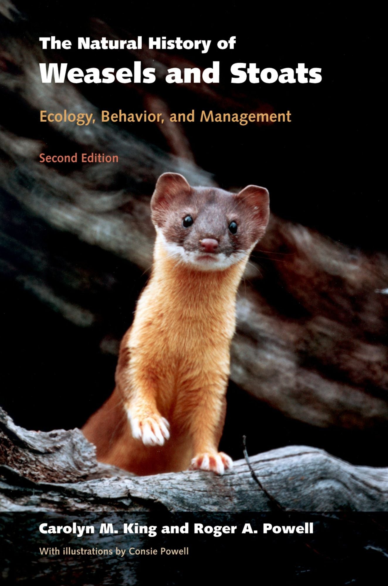 The Natural History of Weasels and Stoats: Ecology, Behavior, and Management