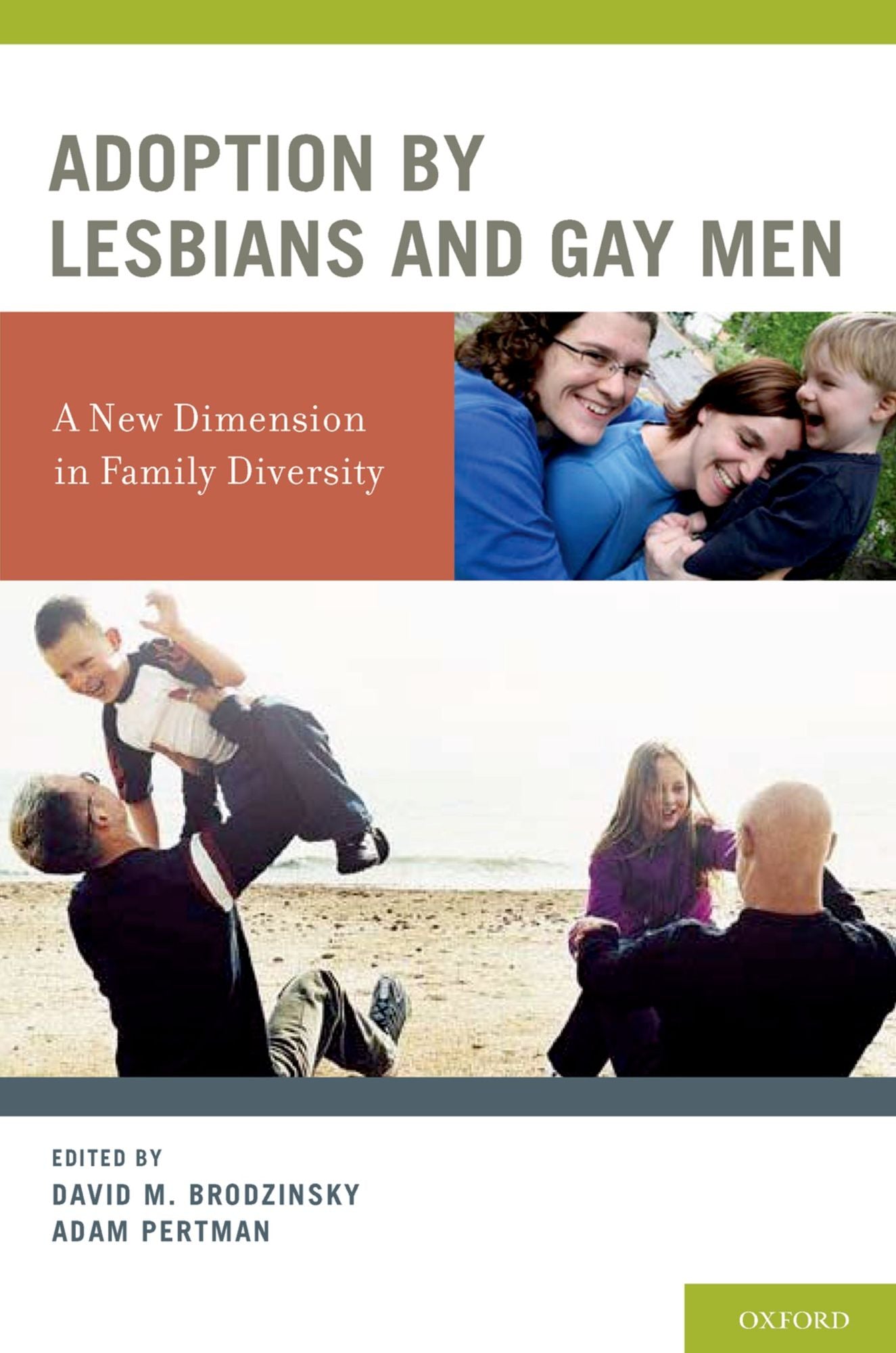 Adoption by Lesbians and Gay Men: A New Dimension in Family Diversity
