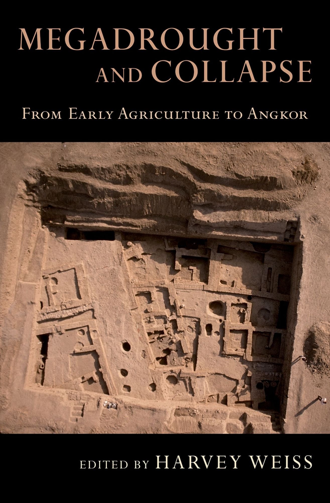 Megadrought and Collapse: From Early Agriculture to Angkor