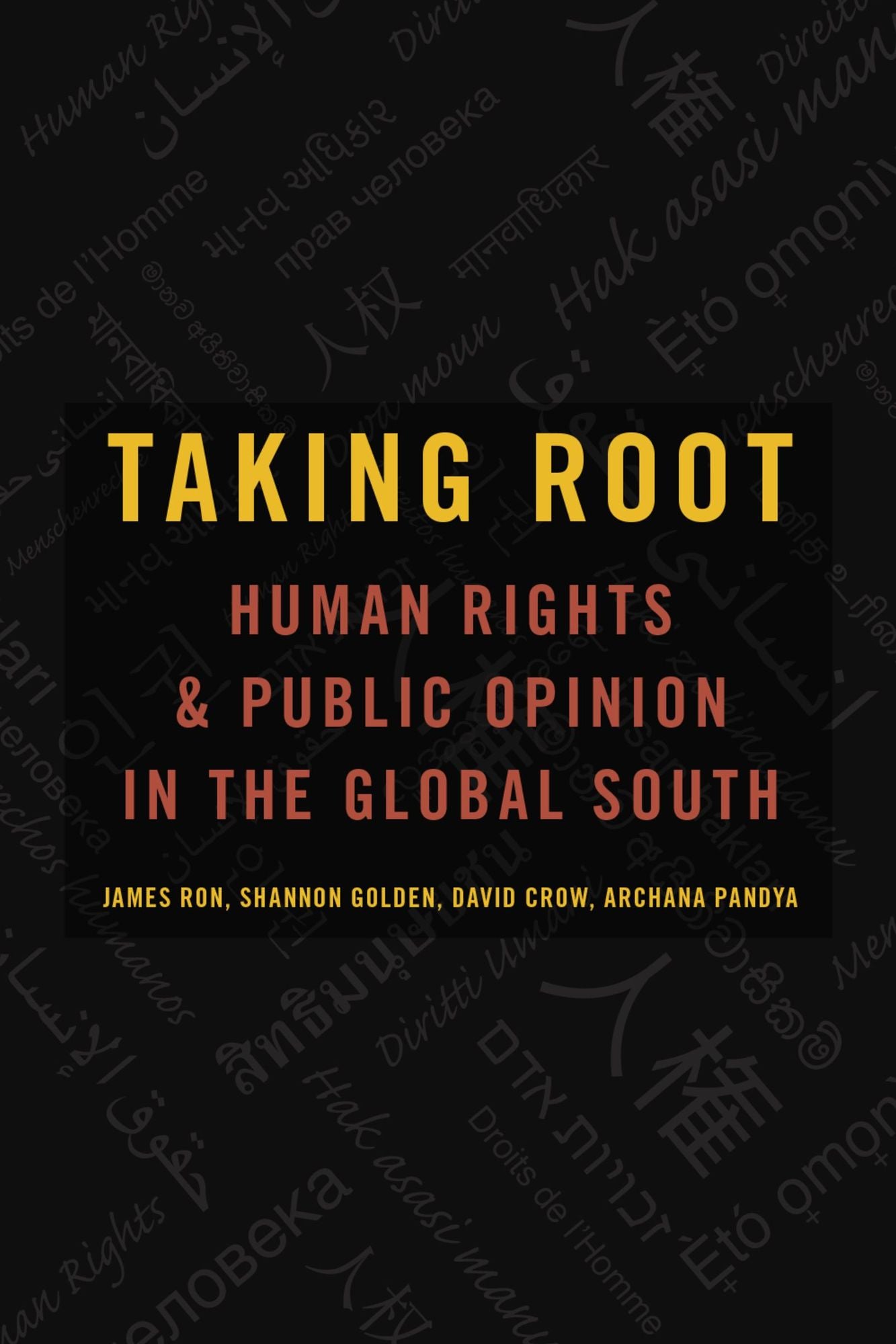 Taking Root: Human Rights and Public Opinion in the Global South