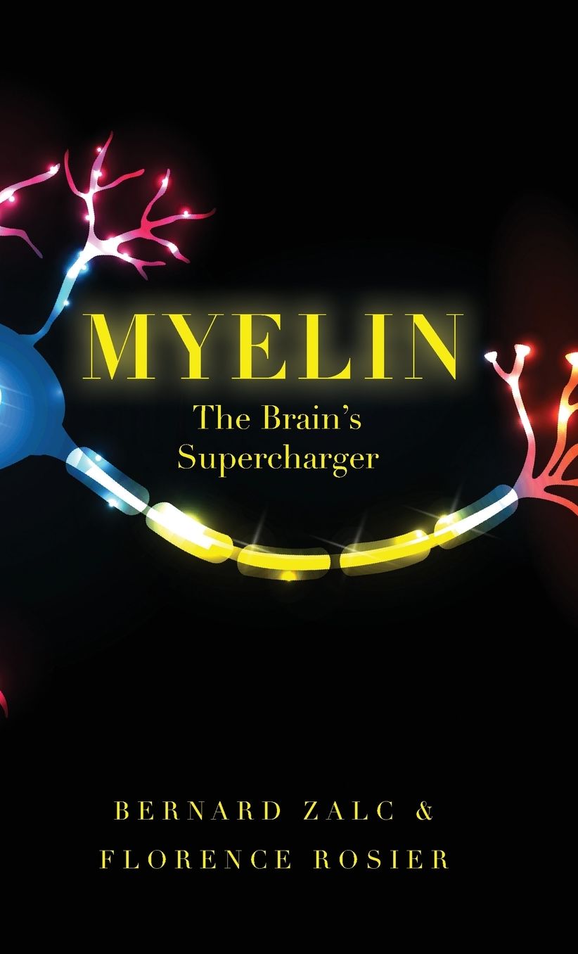 Myelin: The Brain's Supercharger