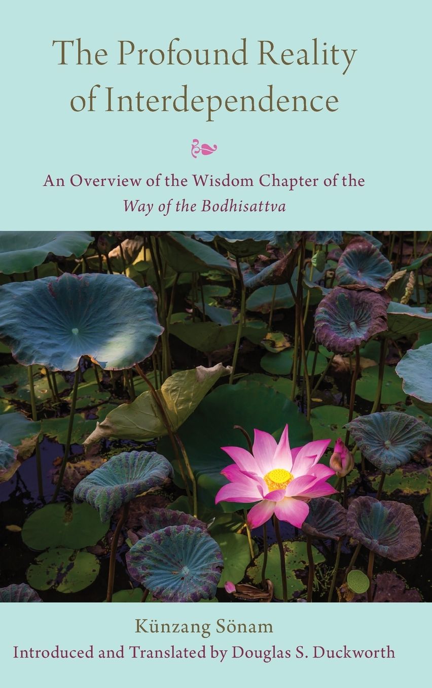 The Profound Reality of Interdependence: An Overview of the Wisdom Chapter of the Way of the Bodhisattva