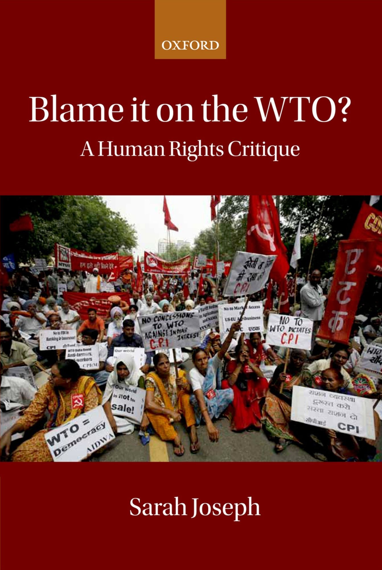 Blame it on the WTO?: A Human Rights Critique