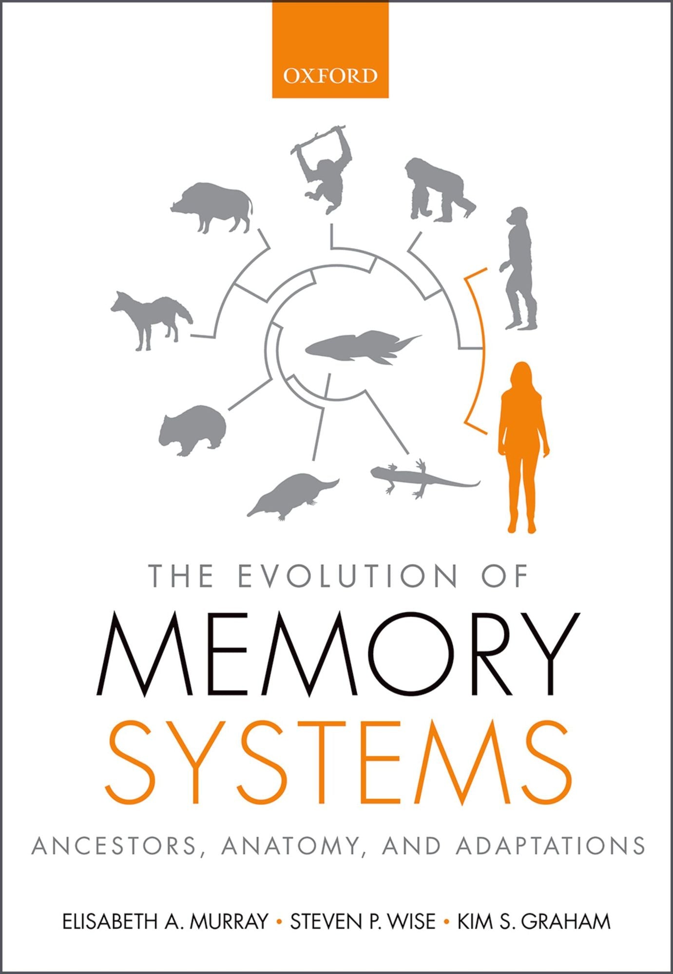 The Evolution of Memory Systems: Ancestors, Anatomy, and Adaptations