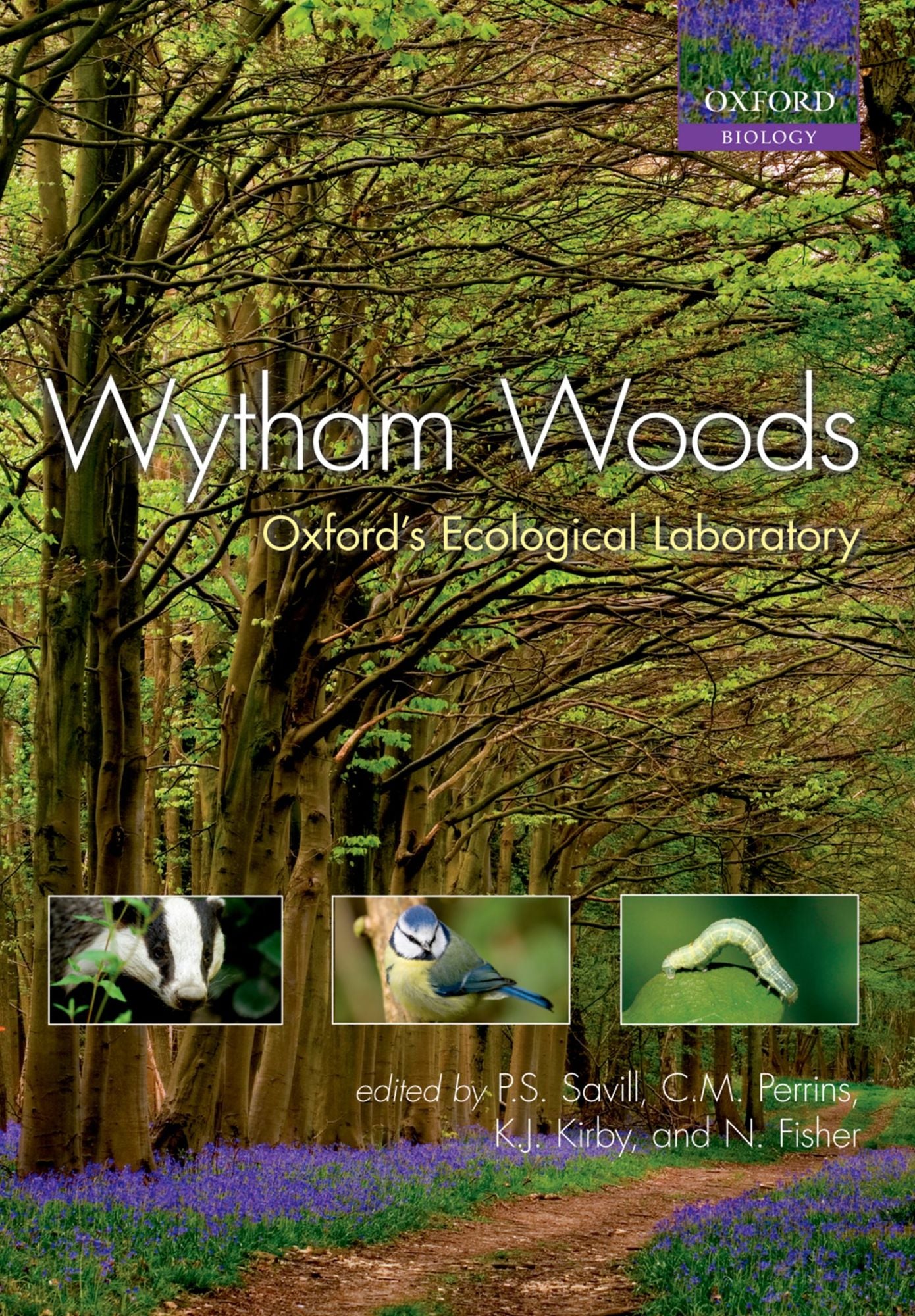 Wytham Woods: Oxford's Ecological Laboratory