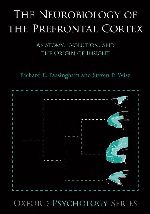 The Neurobiology of the Prefrontal Cortex: Anatomy, Evolution, and the Origin of Insight