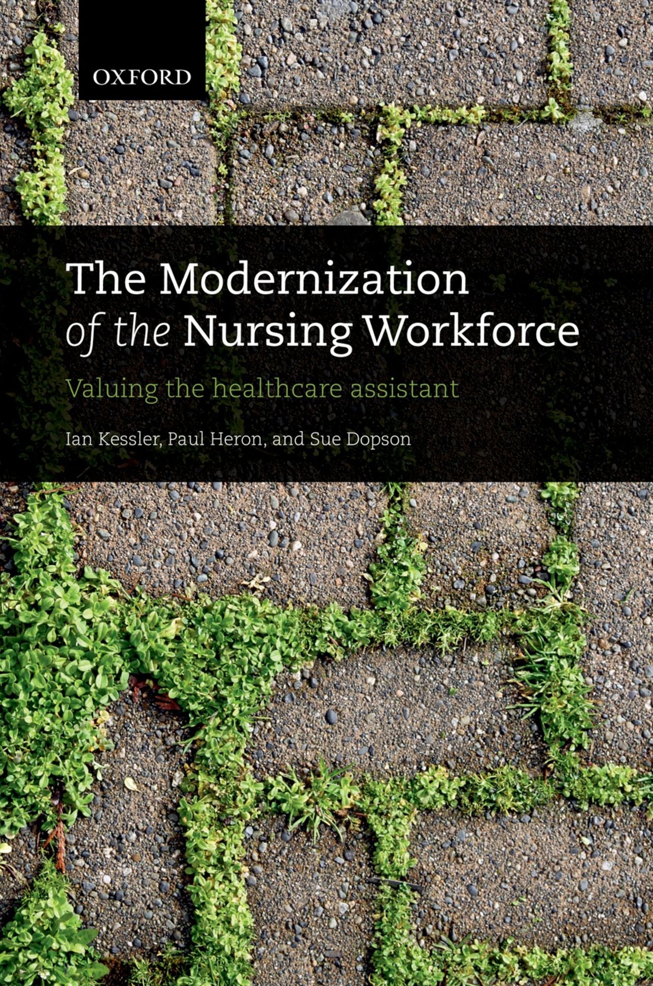 The Modernization of the Nursing Workforce: Valuing the healthcare assistant