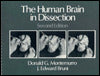 The Human Brain in Dissection