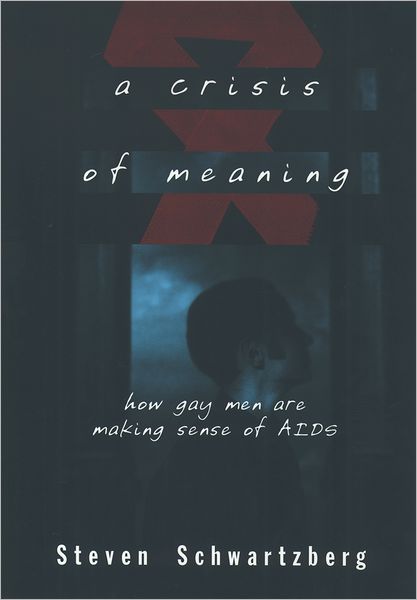 A Crisis of Meaning: How Gay Men Are Making Sense of AIDS