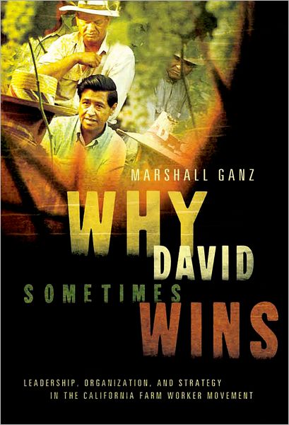 Why David Sometimes Wins: Leadership, Organization, and Strategy in the California Farm Worker Movement