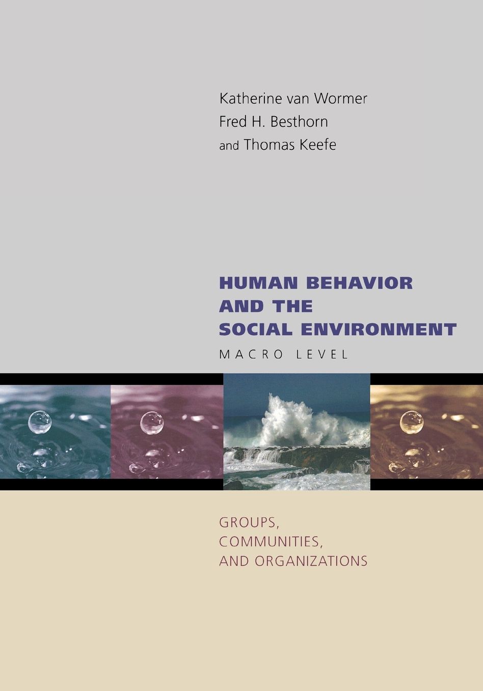 Human Behavior and the Social Environment: Macro Level: Groups, Communities, and Organizations