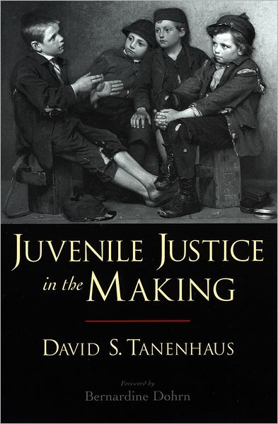 Juvenile Justice in the Making