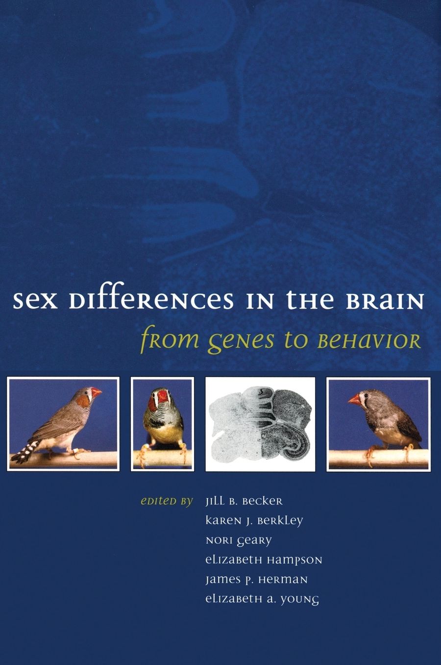 Sex Differences in the Brain: From Genes to Behavior