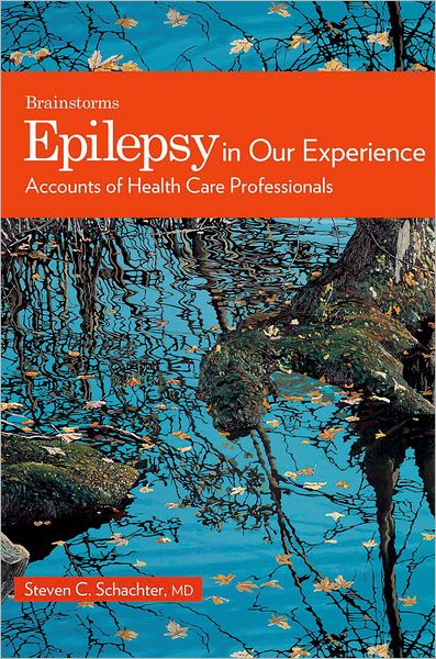 Epilepsy in Our Experience: The Epilepsy Healer