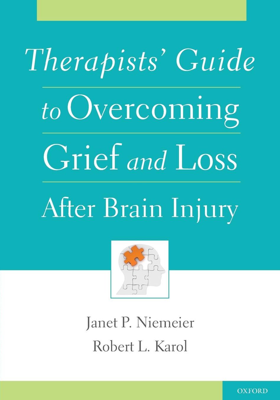 Therapists' Guide to Overcoming Grief and Loss After Brain Injury