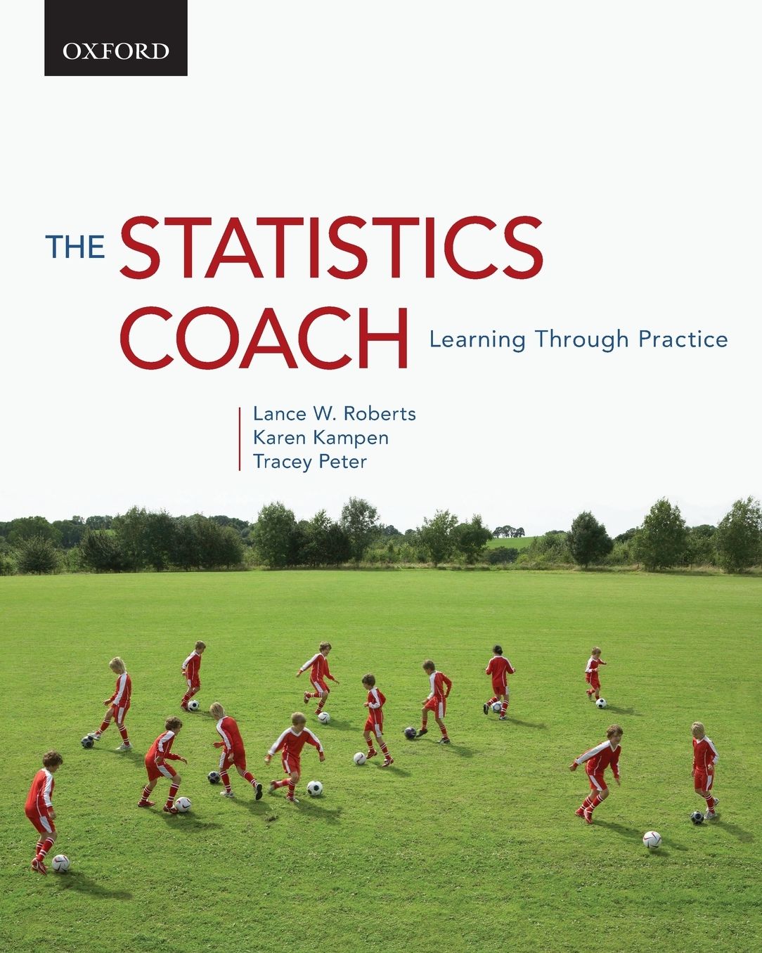 The Statistics Coach: Learning Through Practice