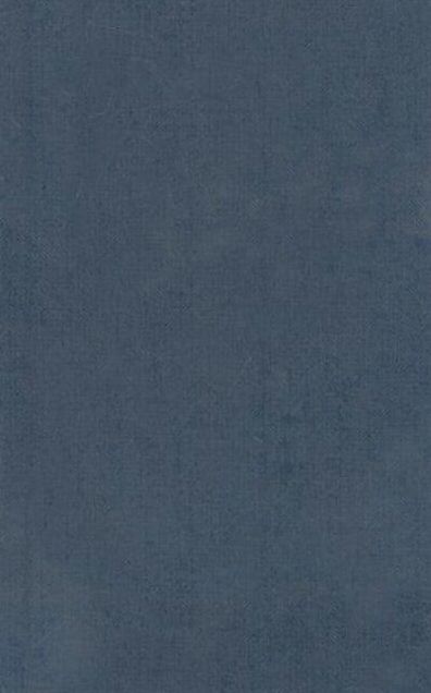 Homeri Opera: The liad, Books XIII-XXIV