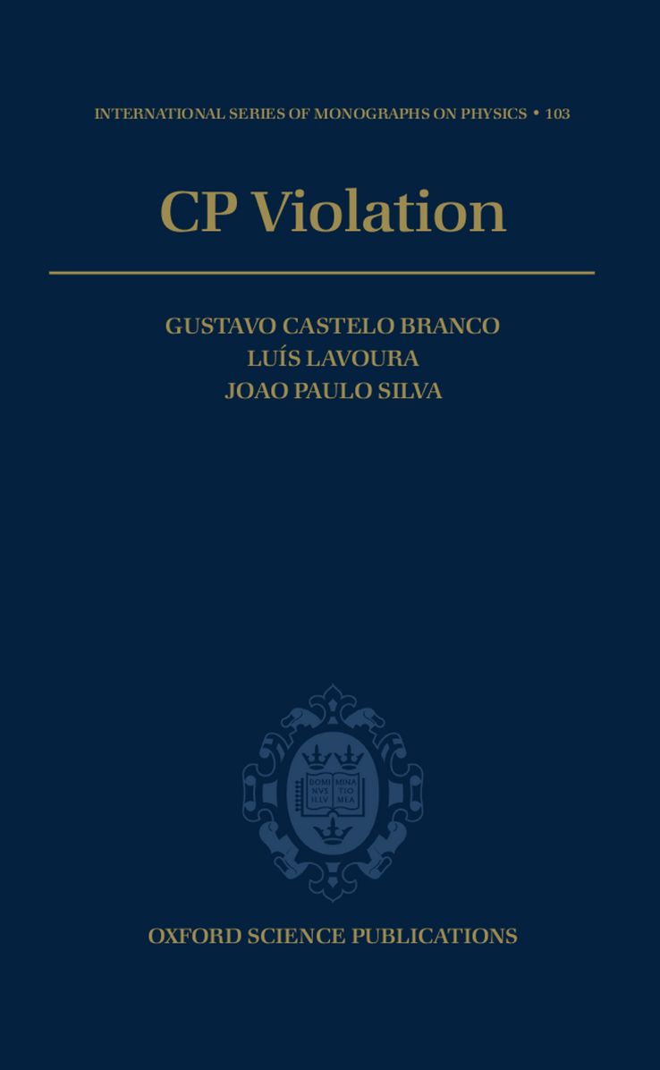 CP Violation