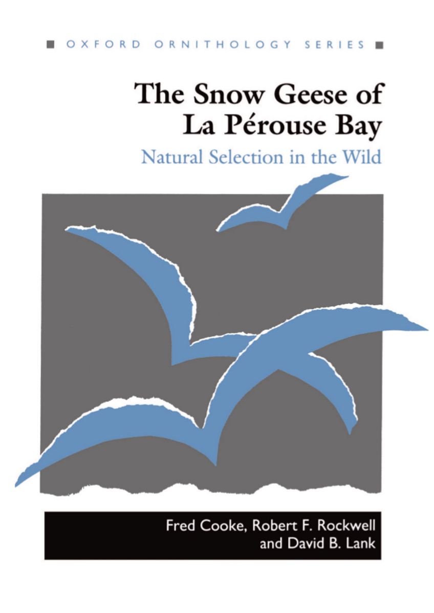 The Snow Geese of La Pi'Arouse Bay: Natural Selection in the Wild