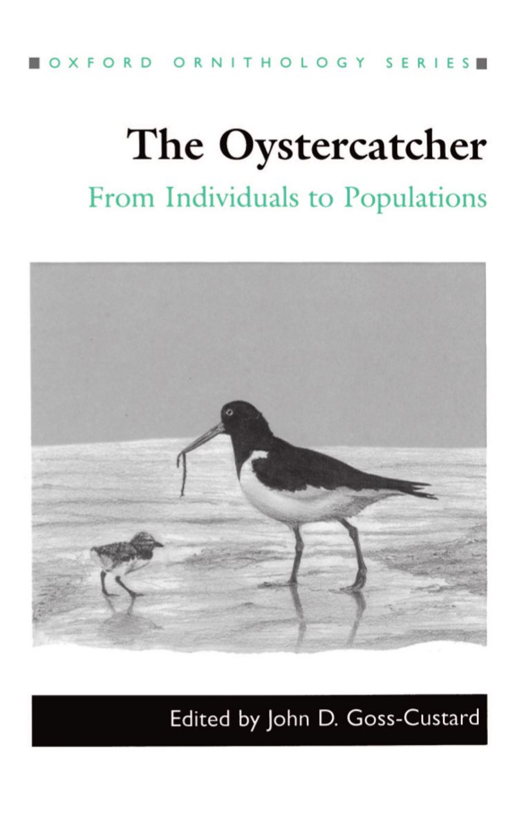 Oystercatcher: From Individuals to Populations (Oxford Onithology Series)