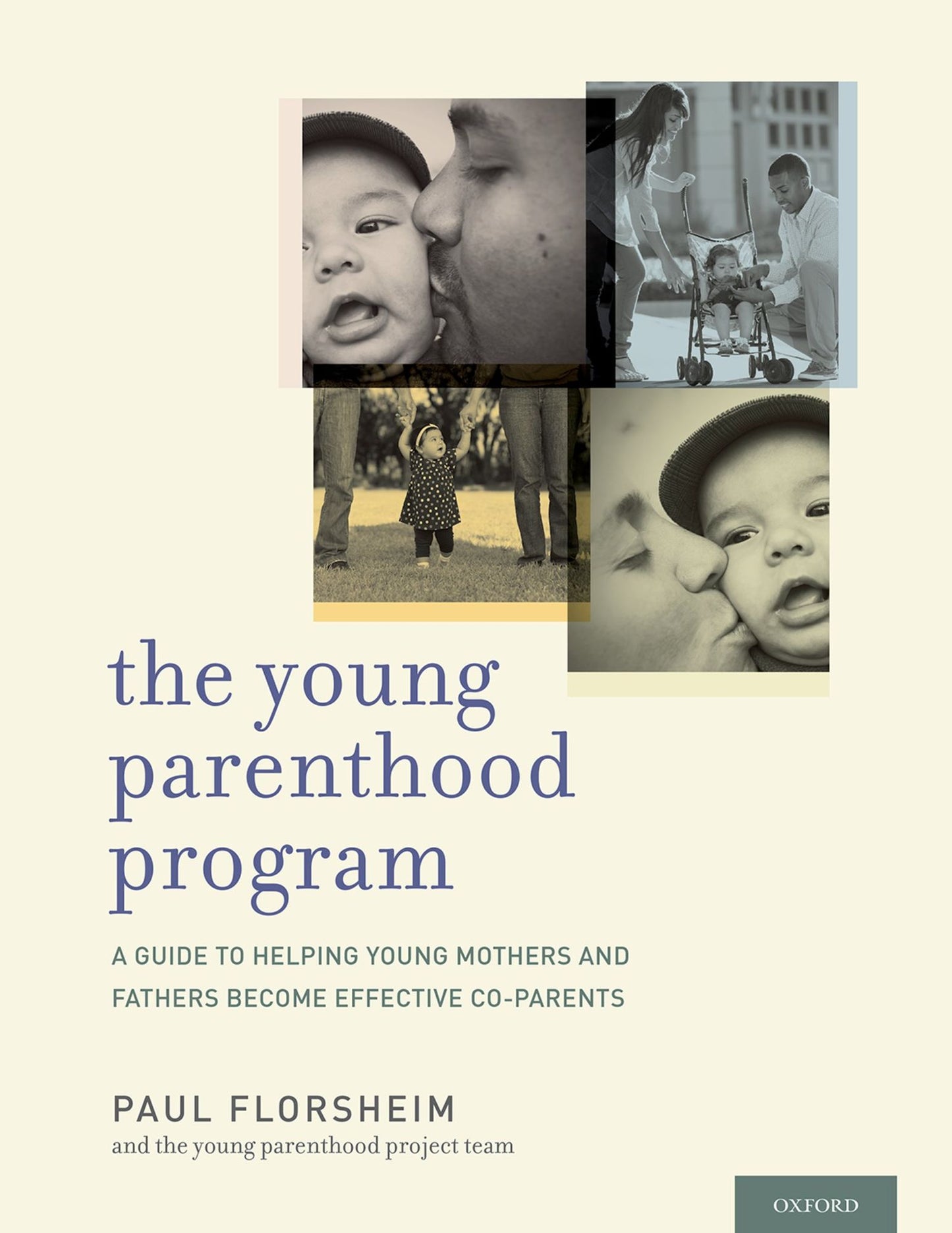 The Young Parenthood Program: A Guide to Helping Young Mothers and Fathers Become Effective Co-parents