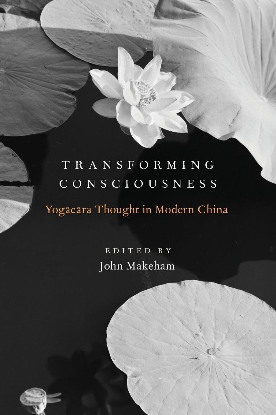 Transforming Consciousness: Yogacara Thought in Modern China