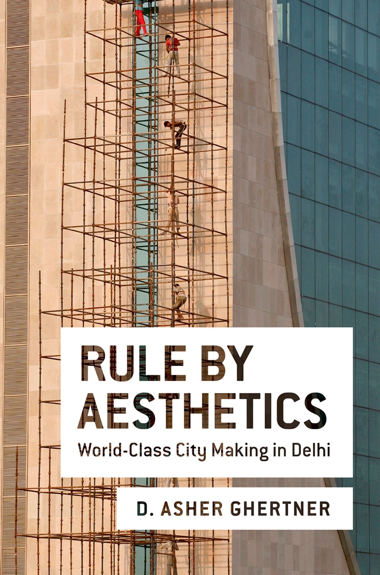 Rule By Aesthetics: World-Class City Making in Delhi