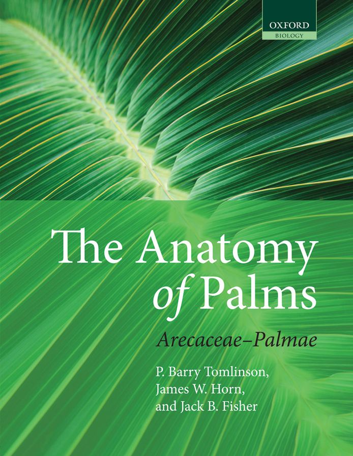 The Anatomy of Palms: Arecaceae - Palmae