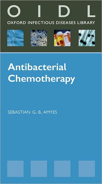 Antibacterial Chemotherapy: Theory, Problems, and Practice