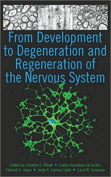 From Development to Degeneration and Regeneration of the Nervous System