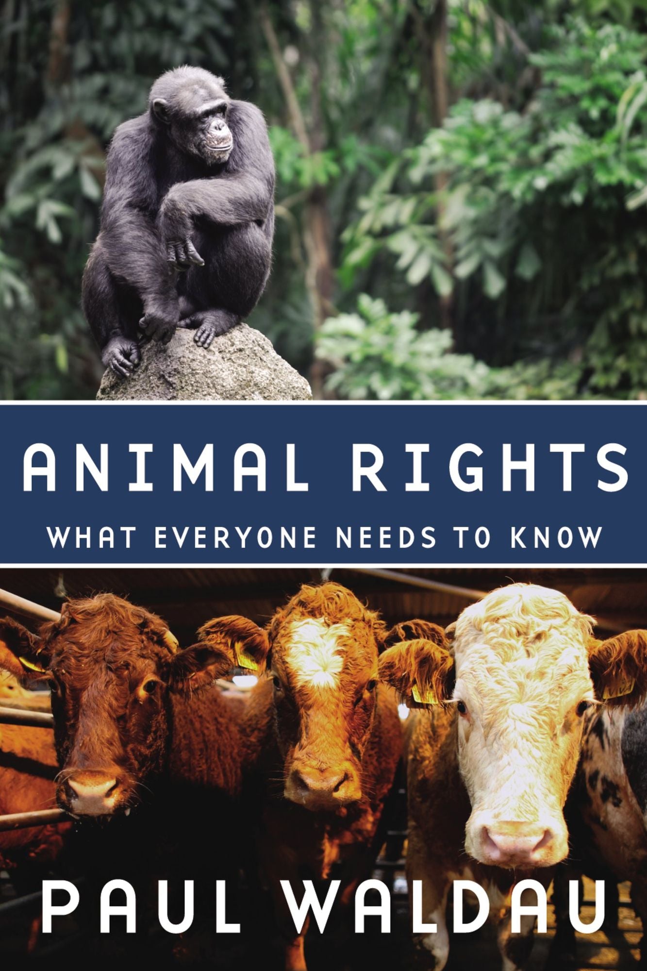 Animal Rights: What Everyone Needs to Know#x000AE;
