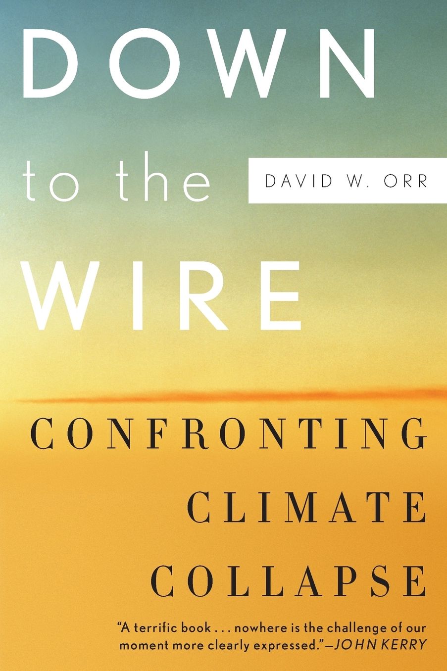 Down to the Wire: Confronting Climate Collapse