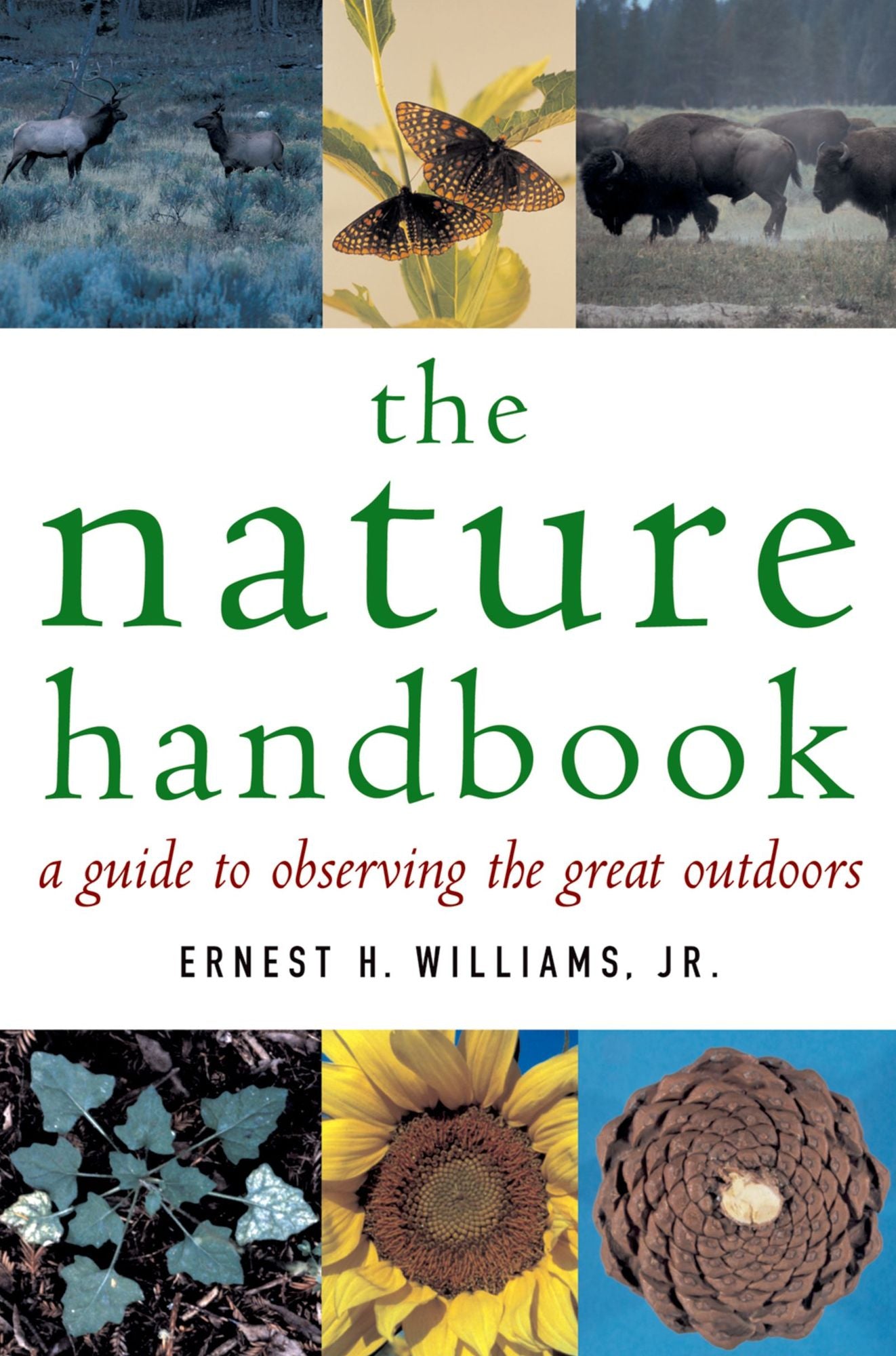 The Nature Handbook: A Guide to Observing the Great Outdoors