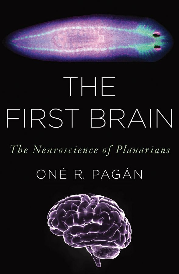 The First Brain: The Neuroscience of Planarians