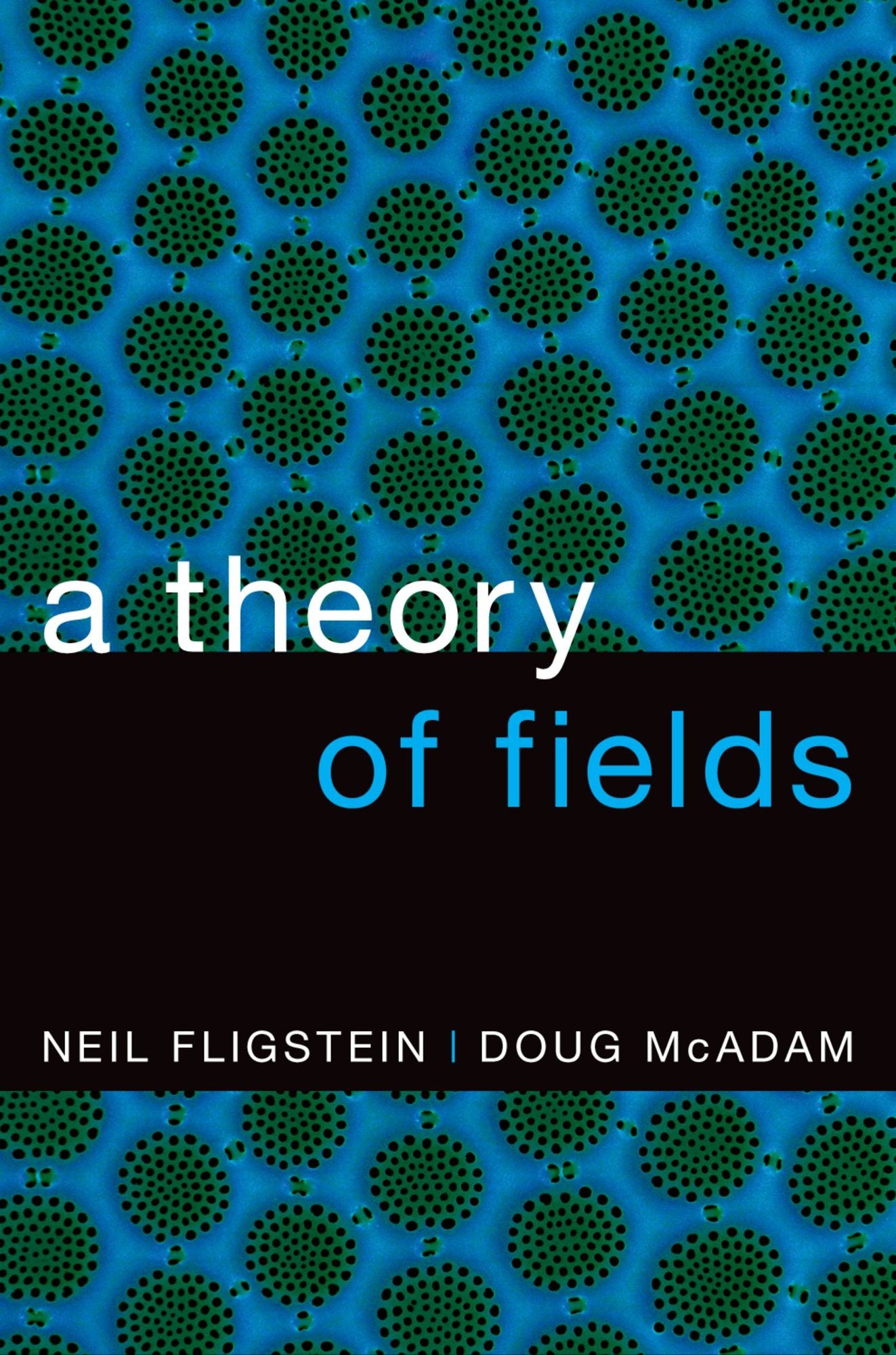 A Theory of Fields