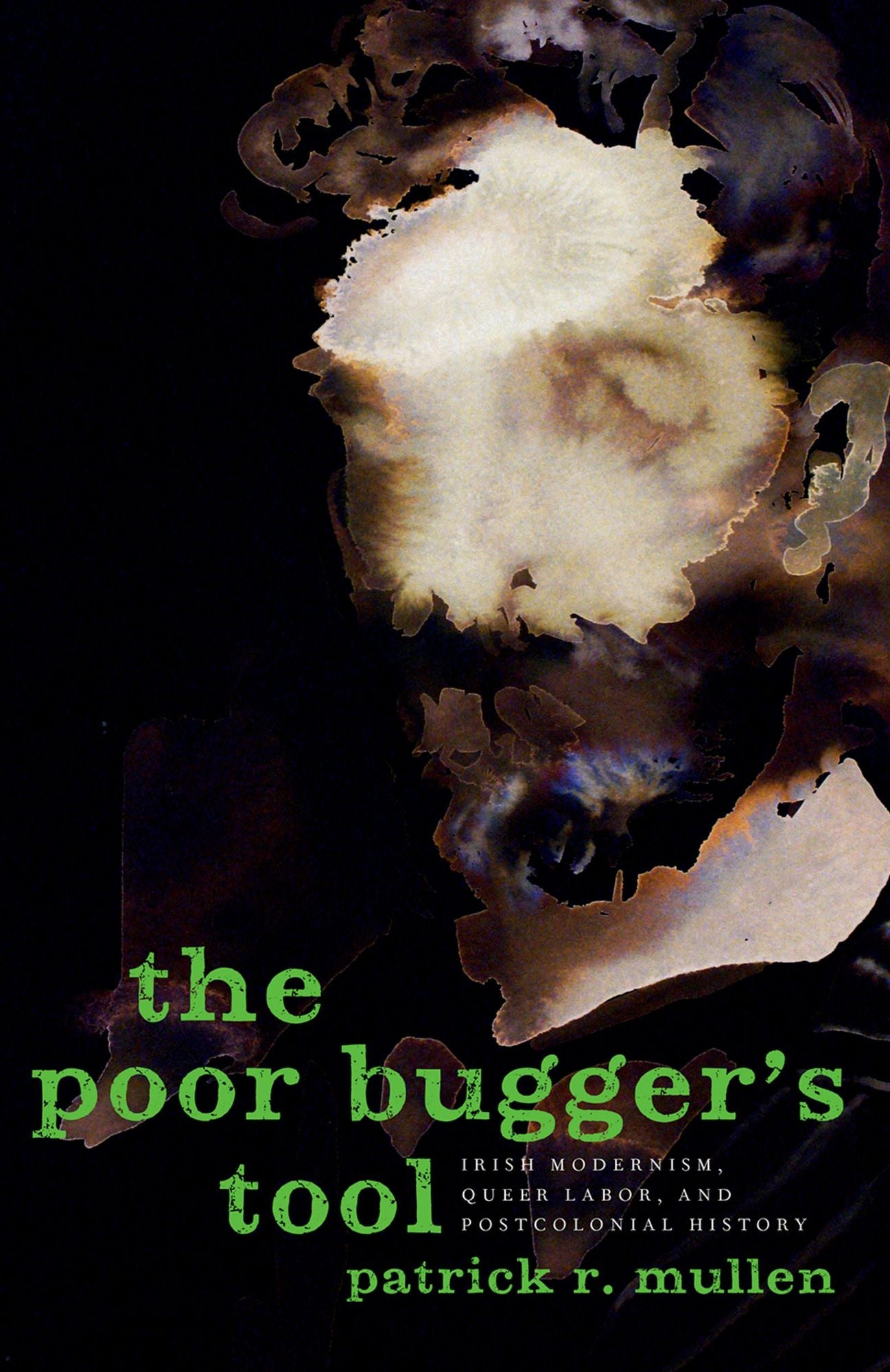 The Poor Bugger's Tool: Irish Modernism, Queer Labor, and Postcolonial History