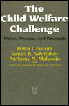 The Child Welfare Challenge: Policy, Practice and Research