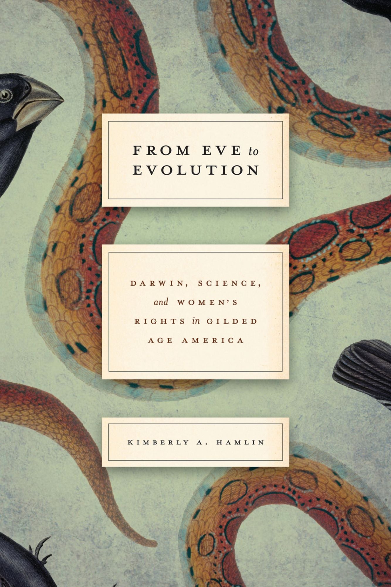 From Eve to Evolution: Darwin, Science, and Women's Rights in Gilded Age America