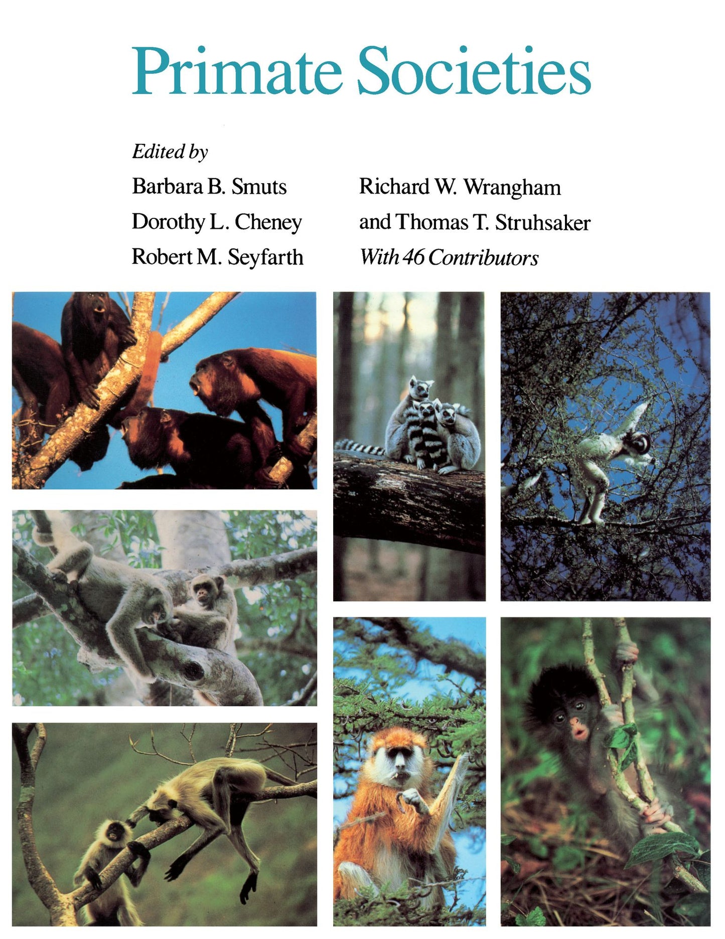 Primate Societies