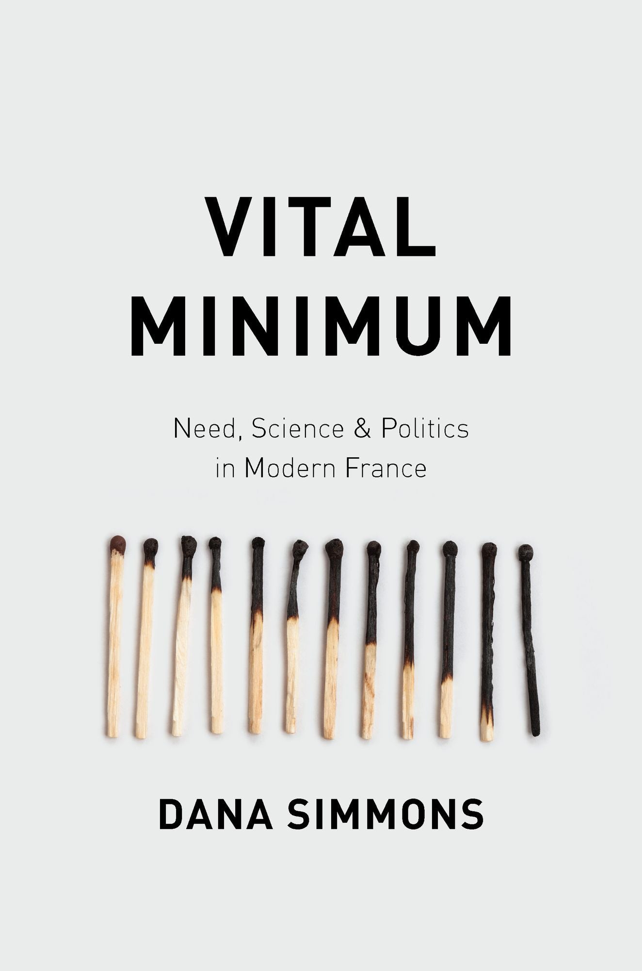 Vital Minimum: Need, Science, and Politics in Modern France
