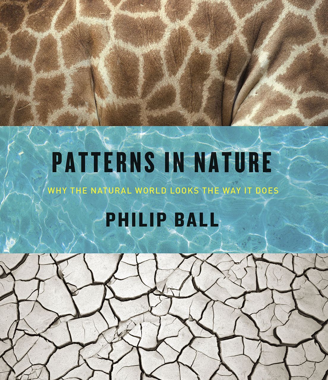 Patterns in Nature: Why the Natural World Looks the Way it Does