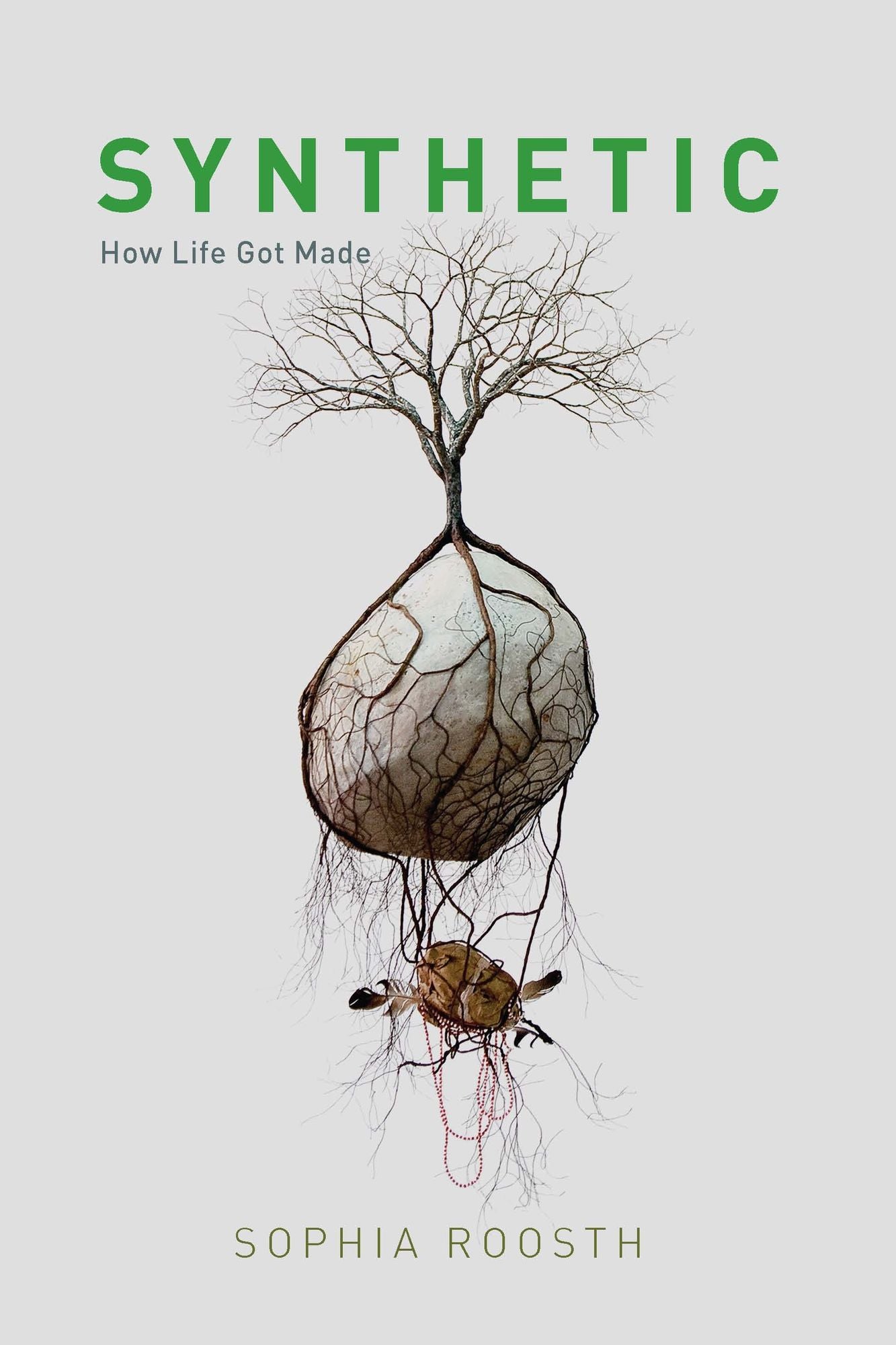 Synthetic: How Life Got Made