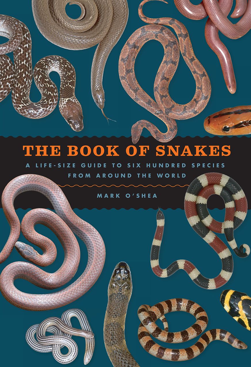 The Book of Snakes: A Life-Size Guide to Six Hundred Species from Around the World