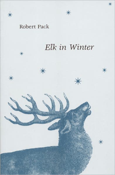 Elk in Winter