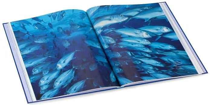 Fishes of the Open Ocean: A Natural History and Illustrated Guide