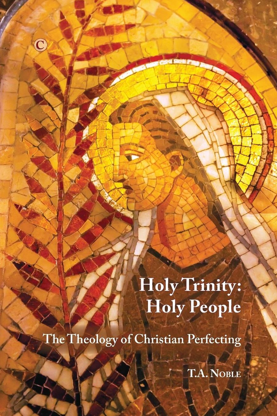 Holy Trinity: Holy People: The Theology of Christian Perfecting