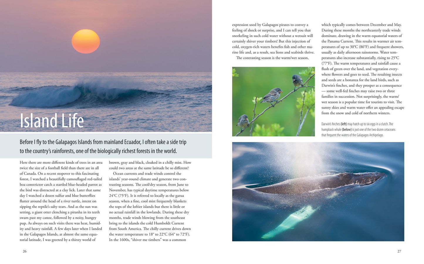 Galapagos: A Traveler's Introduction