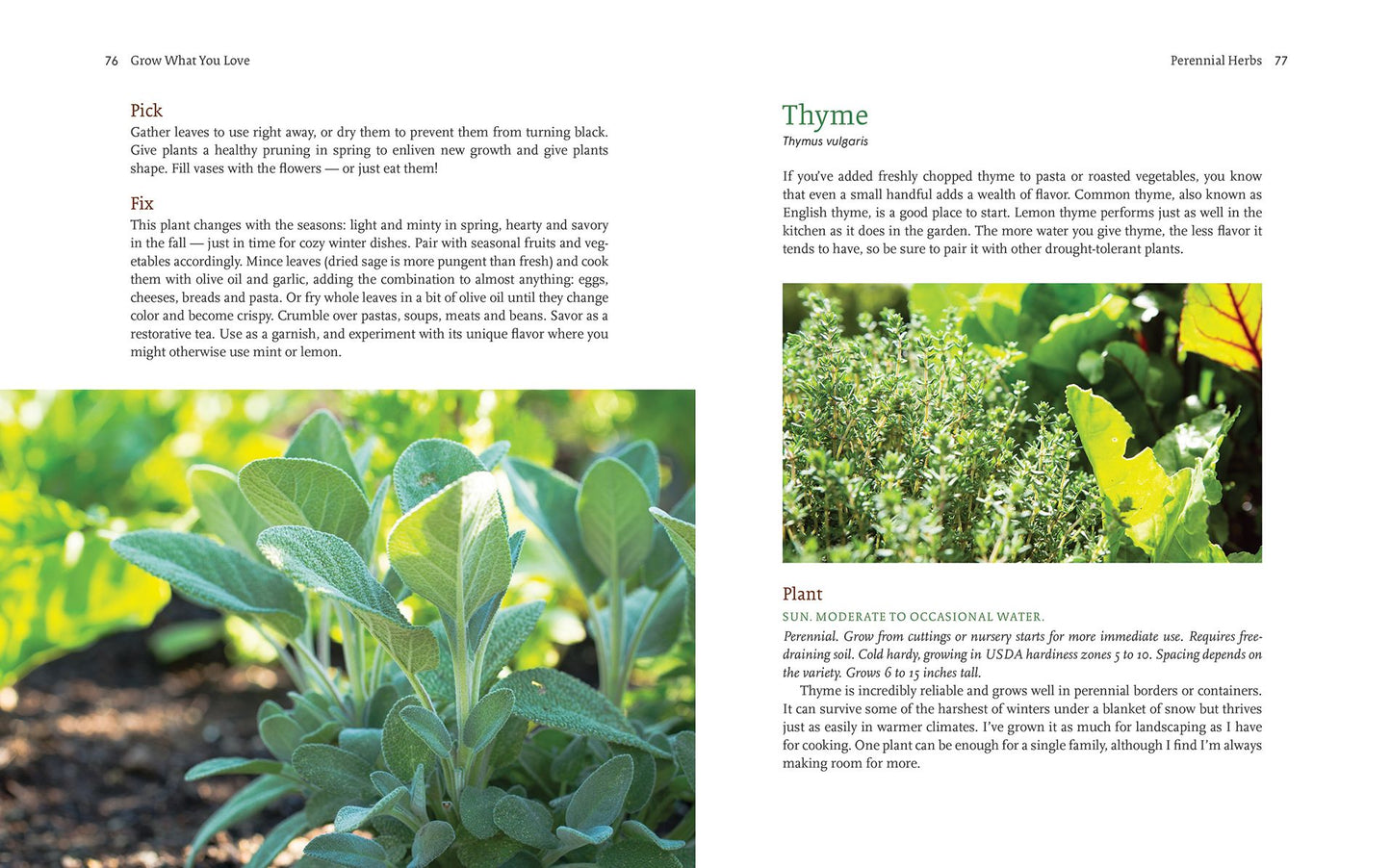 Grow What You Love: 12 Food Plant Families To Change Your Life