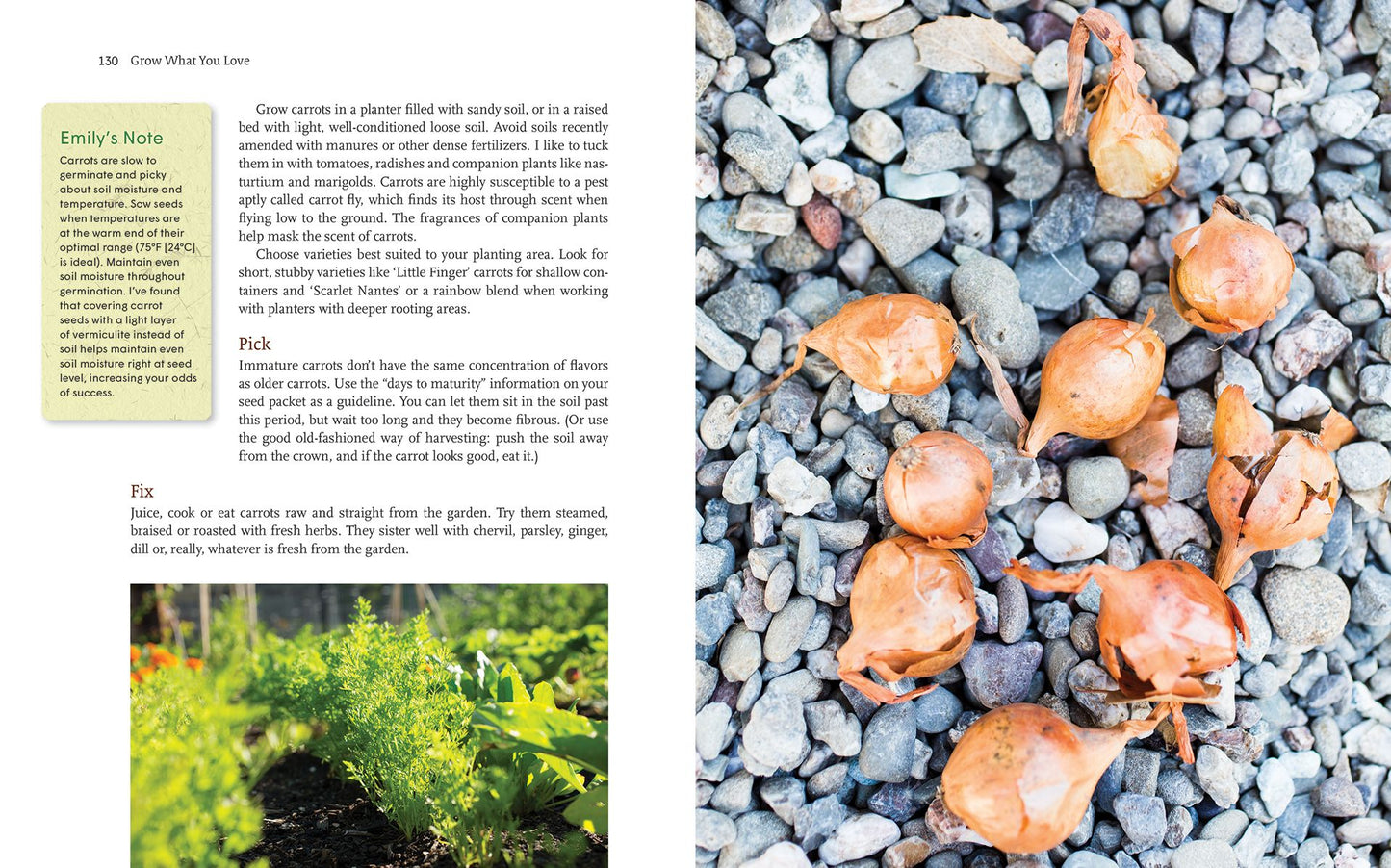 Grow What You Love: 12 Food Plant Families To Change Your Life