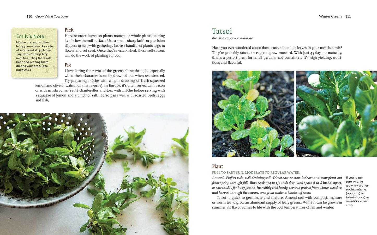 Grow What You Love: 12 Food Plant Families To Change Your Life